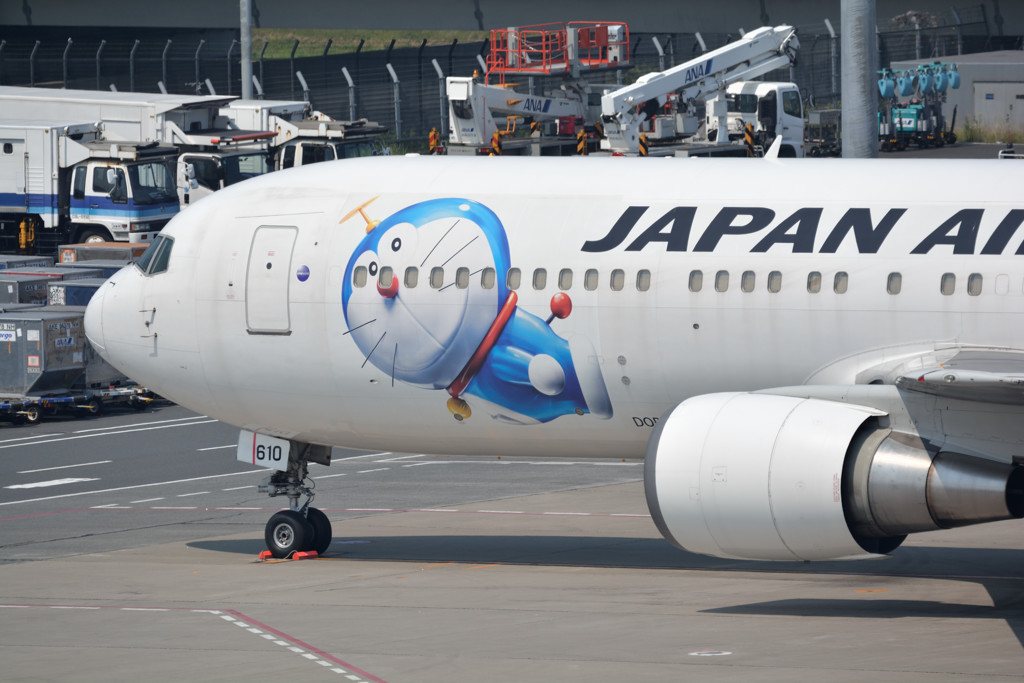 撮り納め！！
