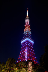 東京タワー限定カラー！！