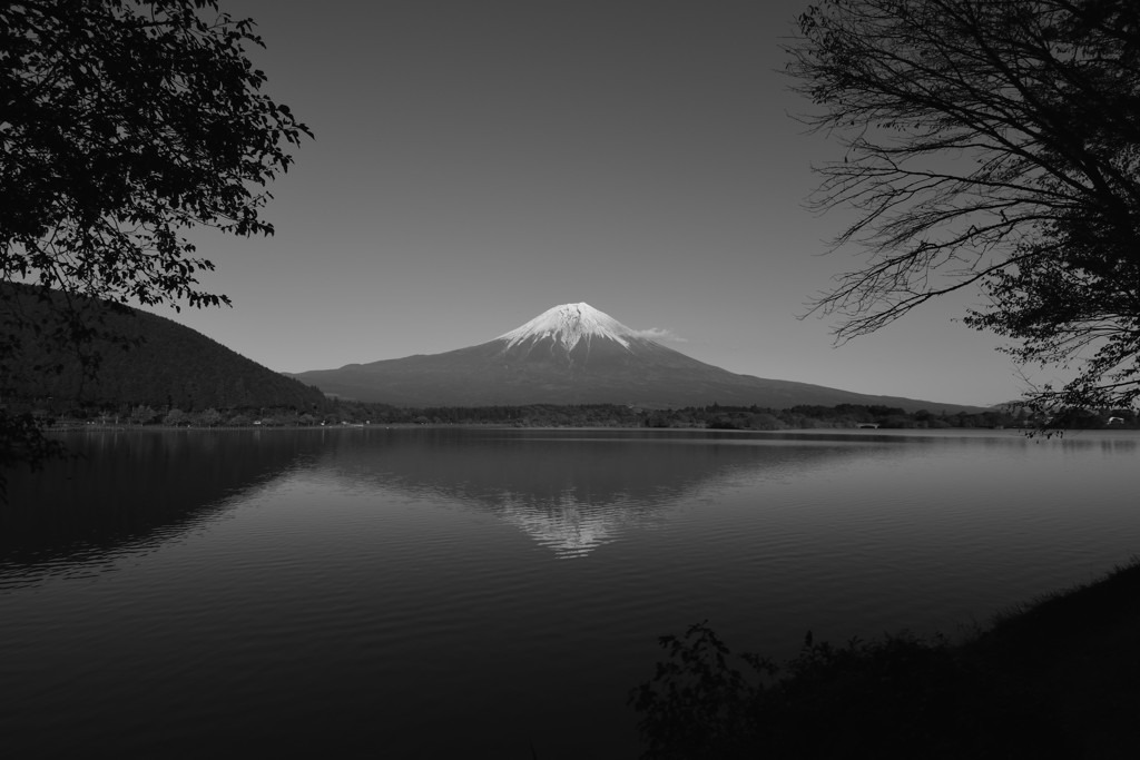 Mt.Fuji