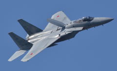 2016 岐阜基地航空祭！