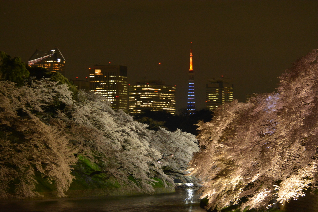 東京タワーを望む！