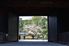 桜田門から望む