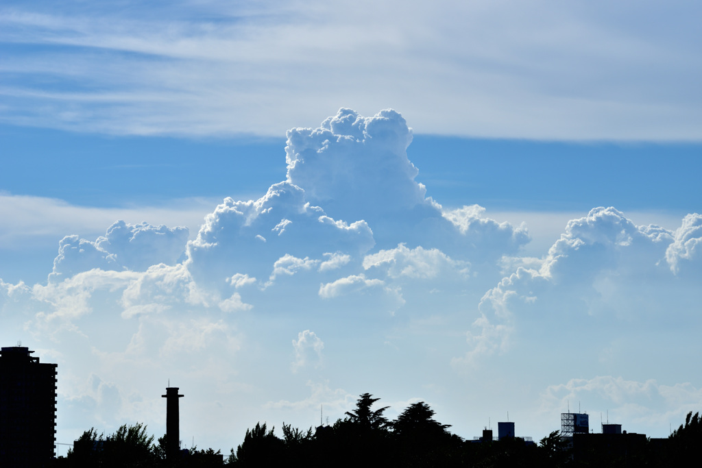 残暑の雲