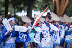 原宿表参道元氣祭スーパーよさこい 2019