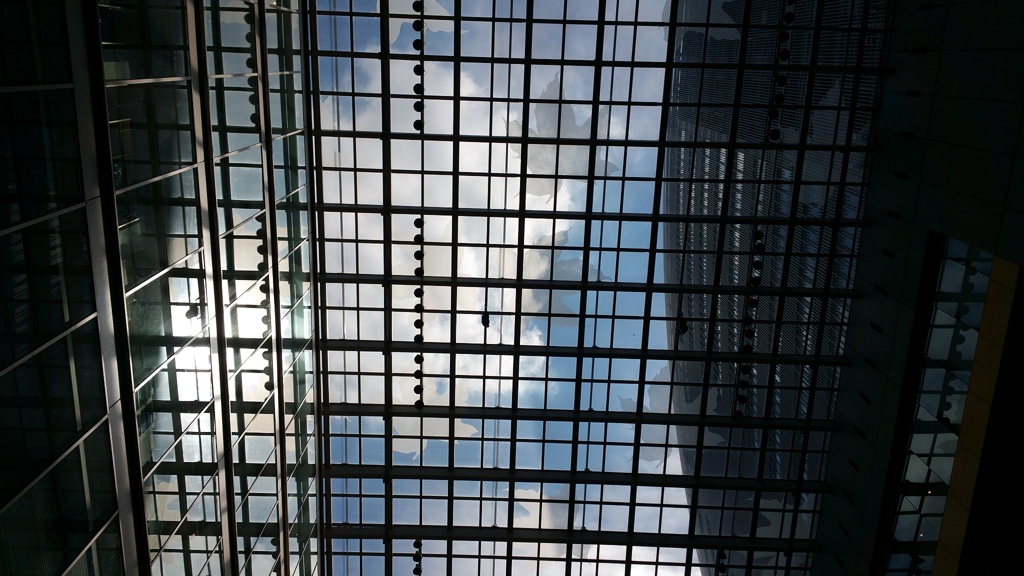 久しぶりの青空
