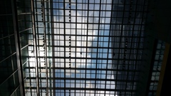 久しぶりの青空