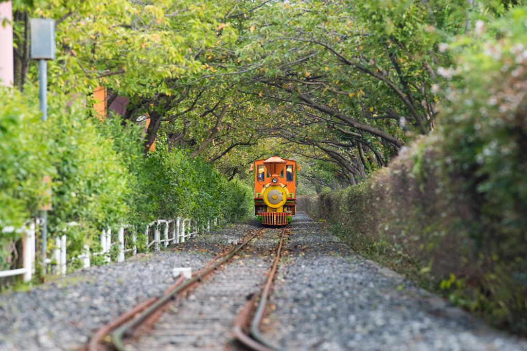 トロッコ列車