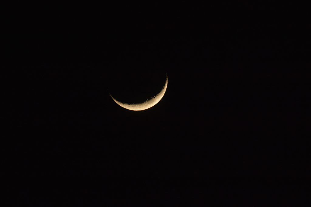 昨夜の月 No.3