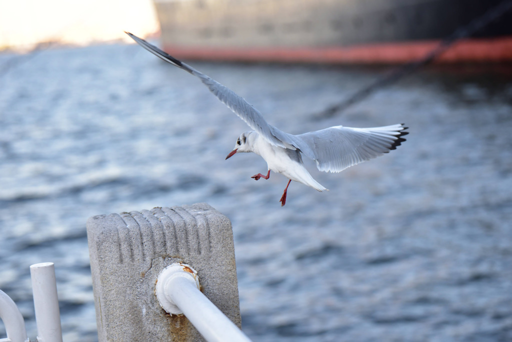 Landing