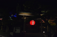 “長谷寺“ライトアップ