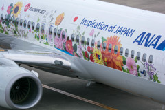 FLOWER JET