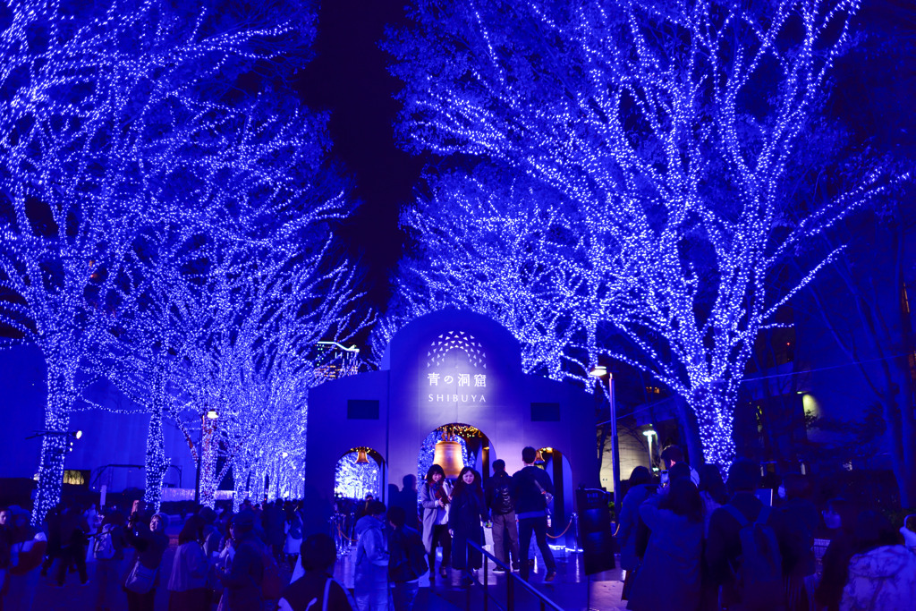 青の洞窟 2019