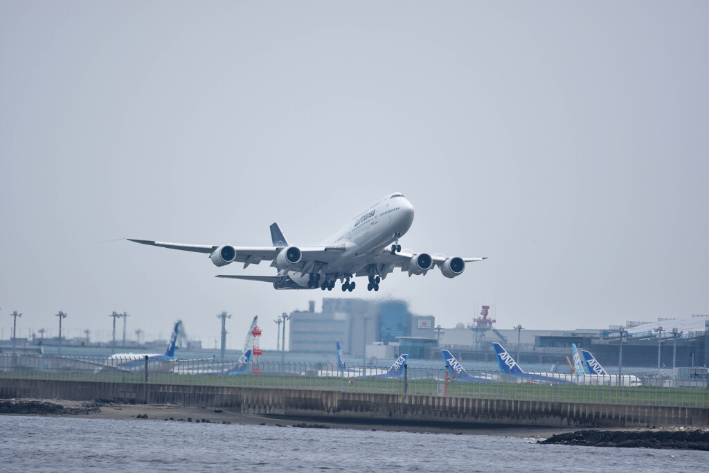 Lufthansa