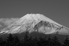 Mt.Fuji