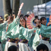 原宿表参道元氣祭・スーパーよさこい