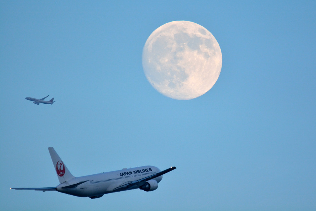 Moon＆JAL JAL