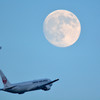 Moon＆JAL JAL