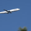 Lufthansa