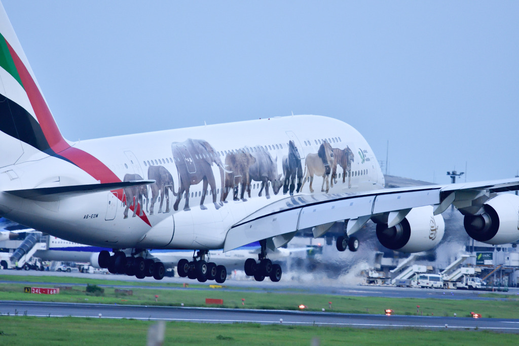 「Emirates Fly Better」