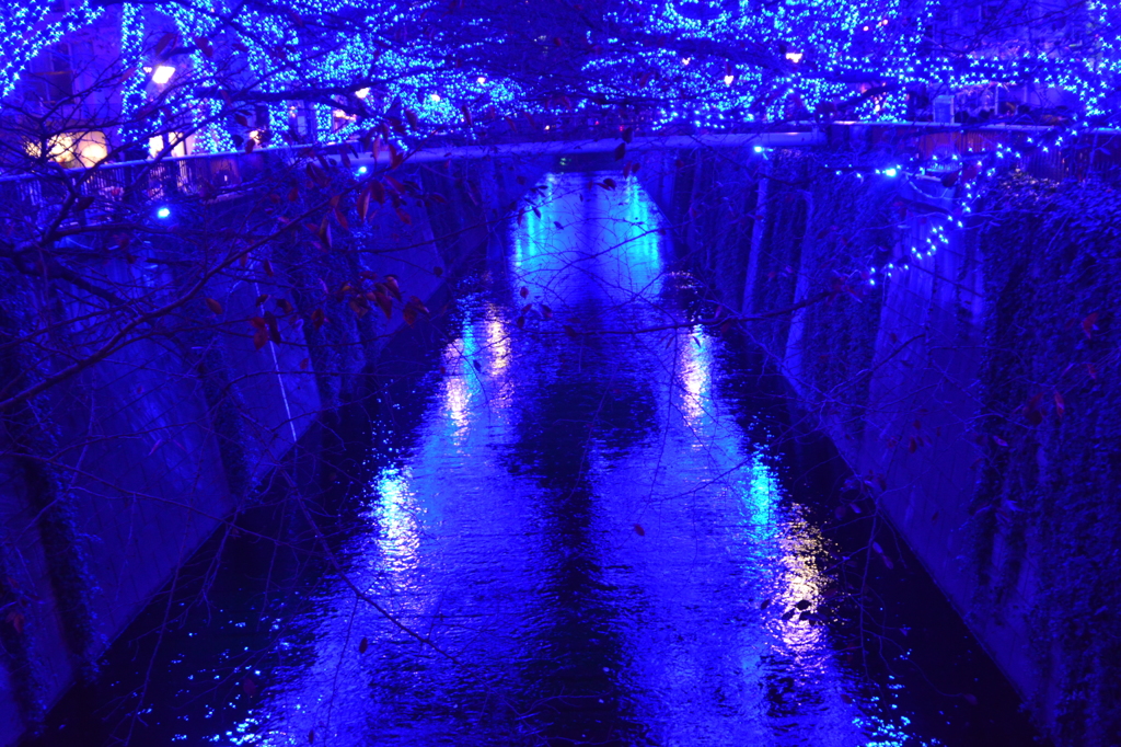 今が旬です！！”青の洞窟”