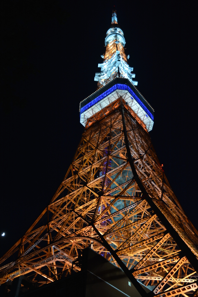 東京タワー限定カラー