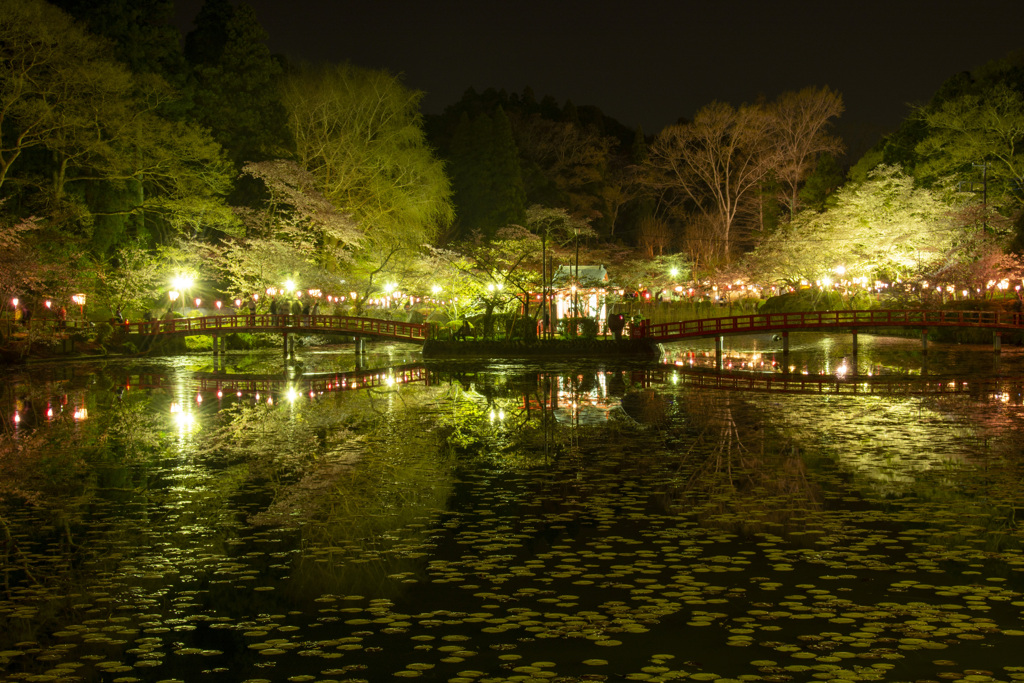 茂原公園