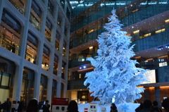 Christmasツリー❗