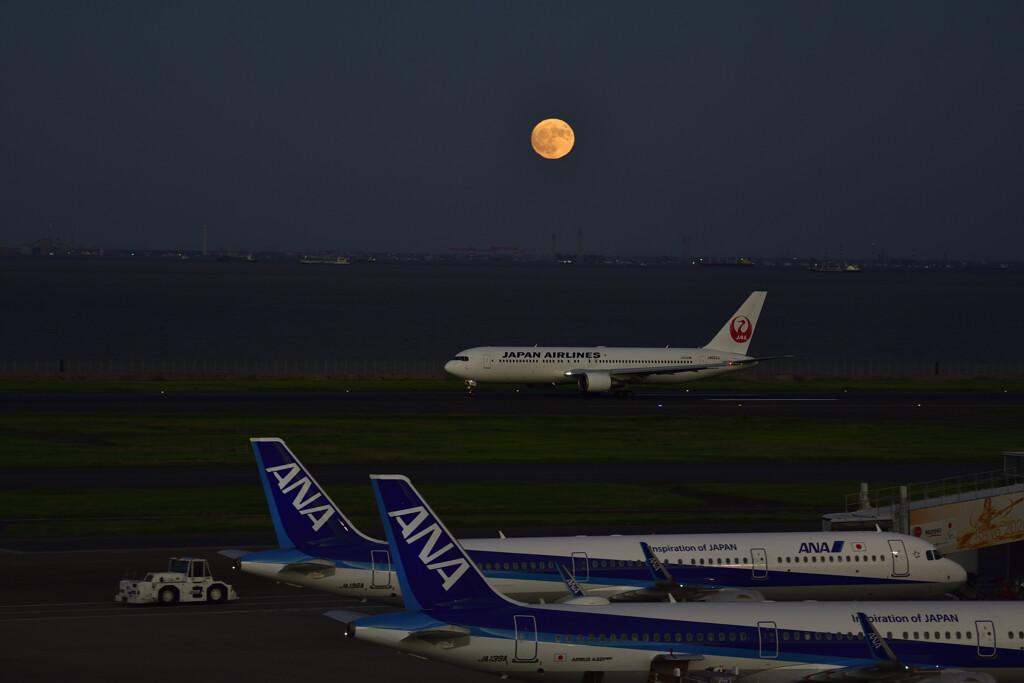 JAL＆満月