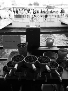 P1021533_R