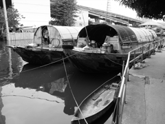 P1021145_R