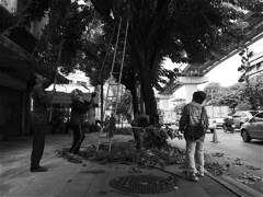 s-P1022863