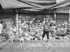 s-IMG_20260111_105921