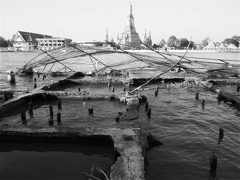 ss-P1024459