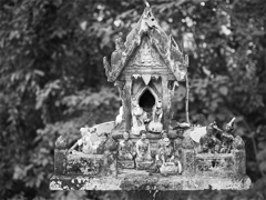 s-P1032669 s-P1032669