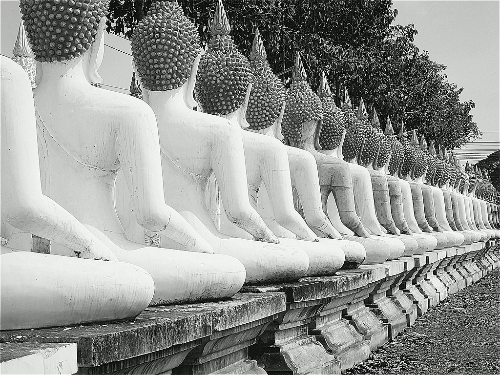 s-IMG_20260120_111244