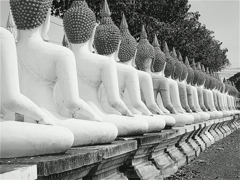 s-IMG_20260120_111244