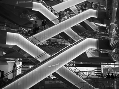 s-P1032498 s-P1032498