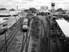 P1130332_R