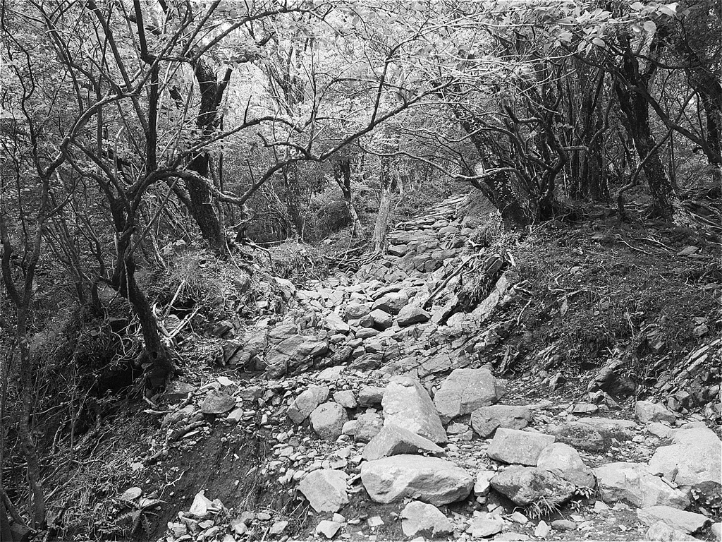 s-P1030072