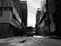 P1021367_R