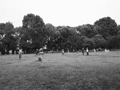 s-P1030133
