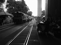 s-P1030896