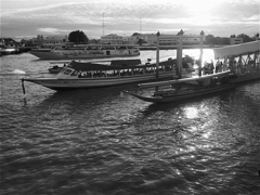 s-P1030496
