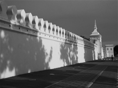 s-P1031531