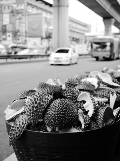 P1022039_R