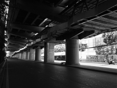 s-P1030748