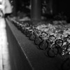 P1030078