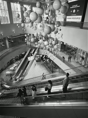 s-IMG_20260205_162303