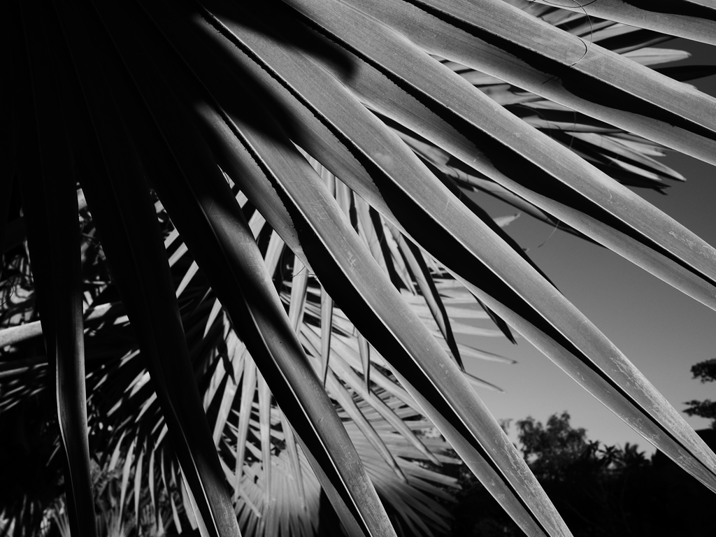 P1070527