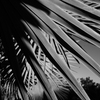 P1070527